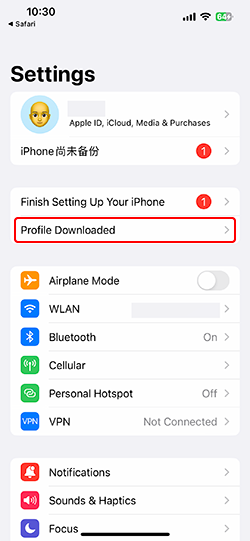 settings profile download mocpogo ios