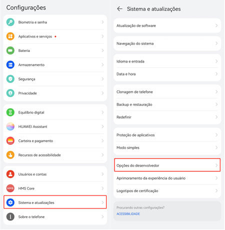 acesse opção de desenvolvedor