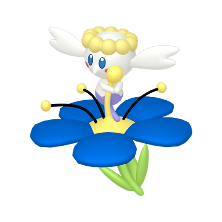 フラベベ(あお)