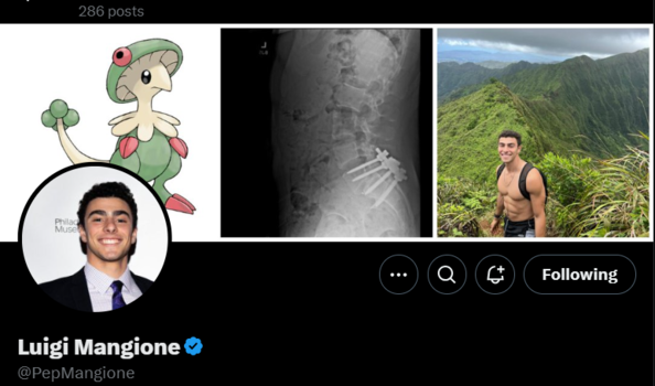 breloom-luigi-X-twitter