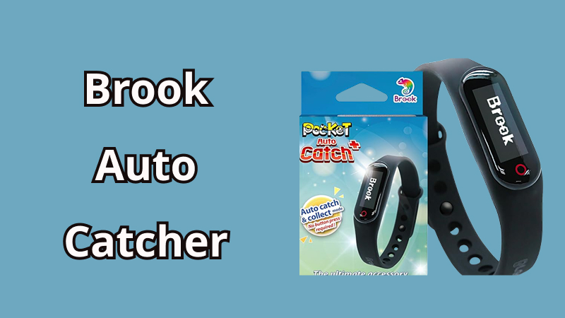 brook auto catcher