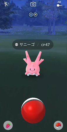 ポケモンgo サニーゴ 野生