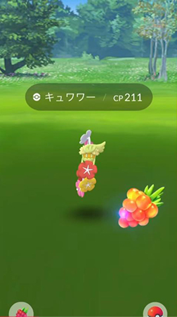 ポケモンgo キュワワー 捕獲