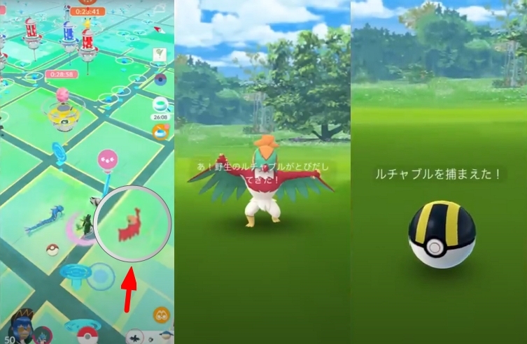 ルチャブルを見つけて捉えた