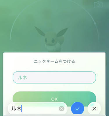 ポケモン go イーブイ 名前変更 ルネ