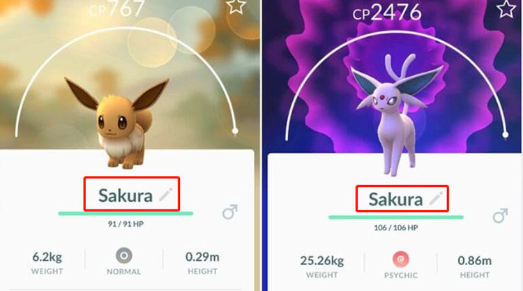 change eevee name