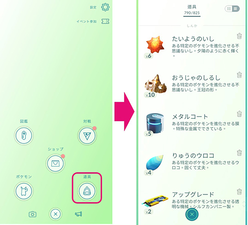 ポケモン go おうじゃのしるし 道具バッグ