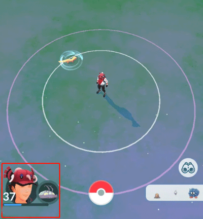 click pokemon avatar
