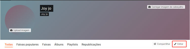 clique editar perfil