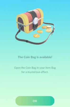 coin bag