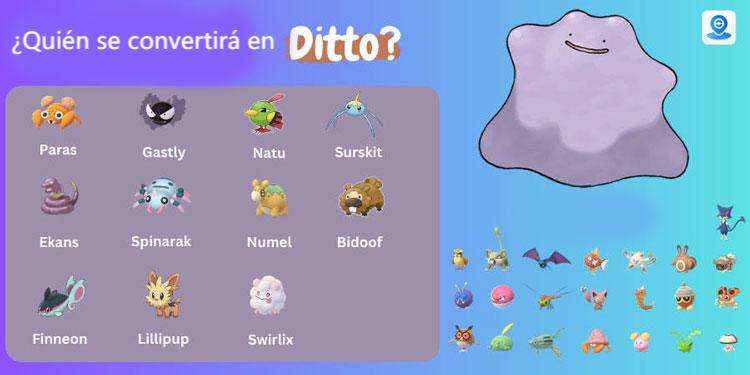 Cómo caputurar a Ditto