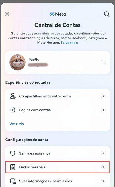 dados pessoais Instagram celular