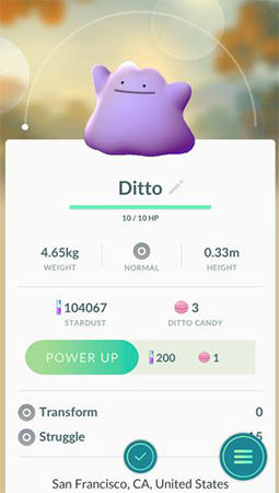 ditto stats
