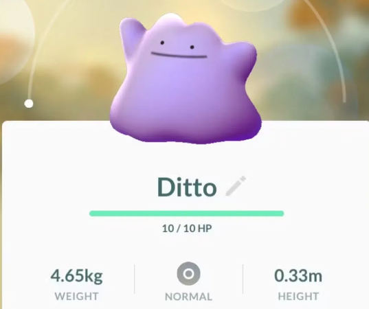 ditto