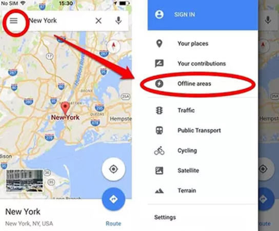 can you play Pokemon Go without data