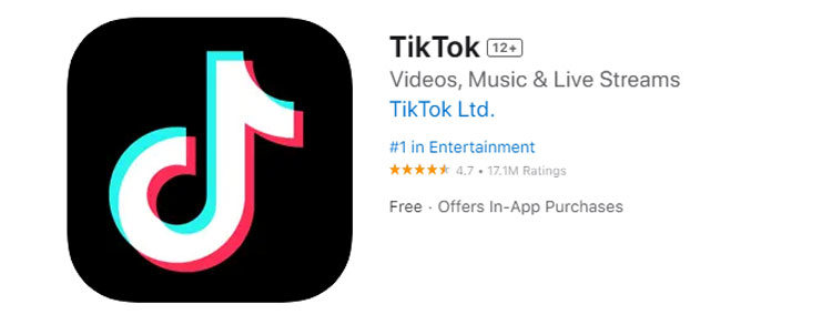 download tiktok