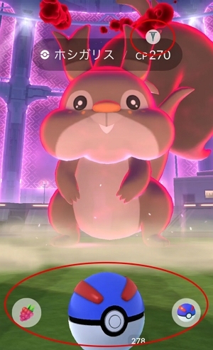 ダイマックスホシガリス