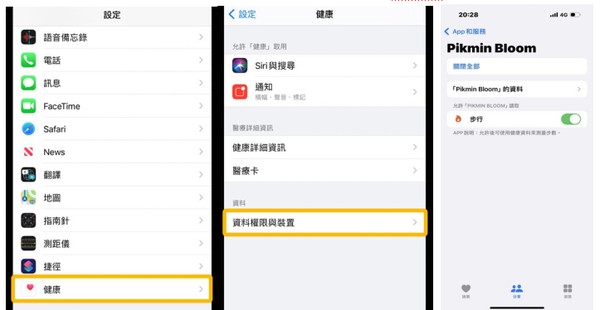 iOS 健康權限