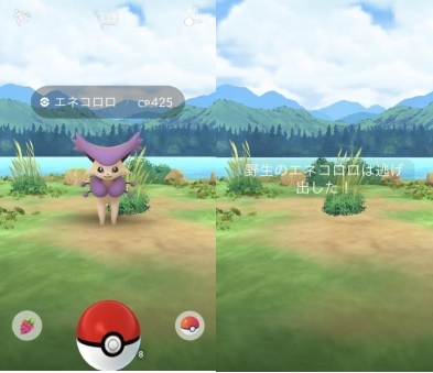 逃げ出したポケモン