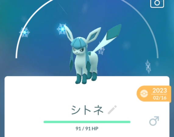 ポケモンGOグレイシア