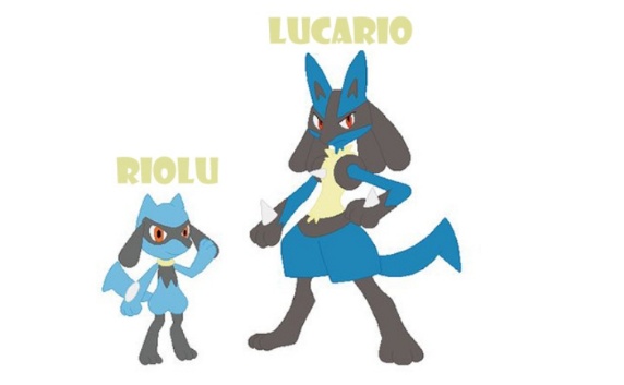 evoluindo Riolu em Lucario