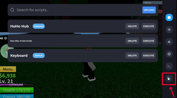 Usar Delta Script para Blox Fruits