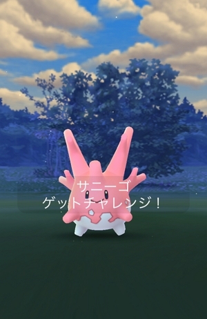 夜間でサニーゴを捕獲