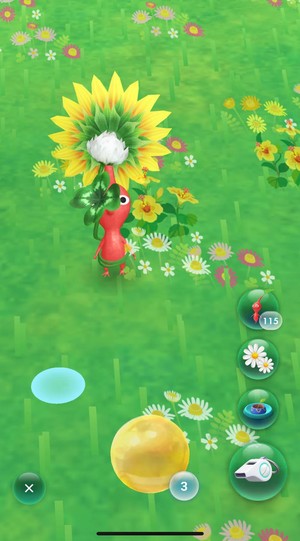 皮克敏四葉幸運草公園純點