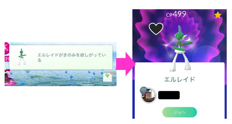 ポケモンgo 道具の所持上限に影響がないアイテム