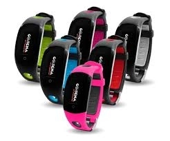 Go-tchaというキャプチャー