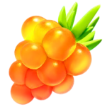 ポケモンGO 金のズリ