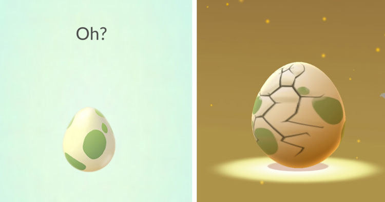 hatching eggs pokemon go