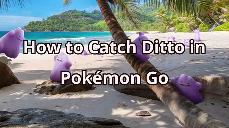 how to catch ditto in pokemon go