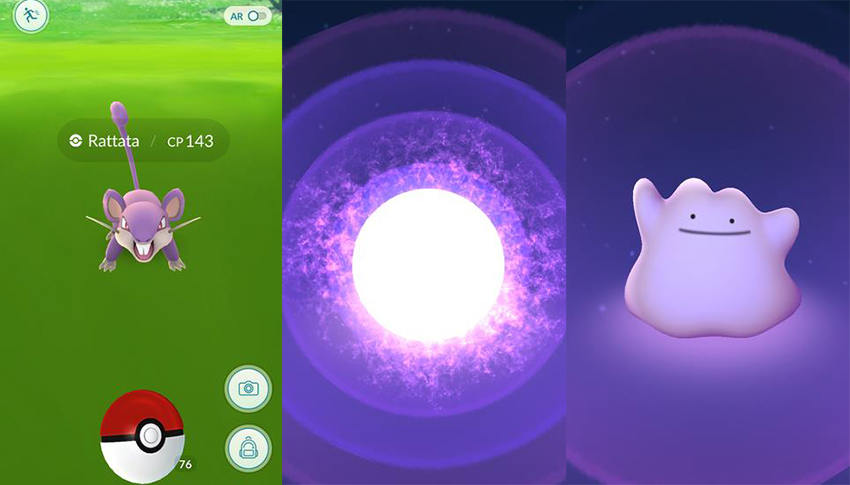 how to catch ditto pokemon go