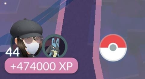 ポケモン go レベル 上げ