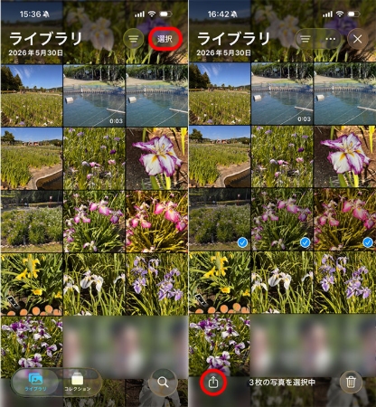 iPhone写真共有