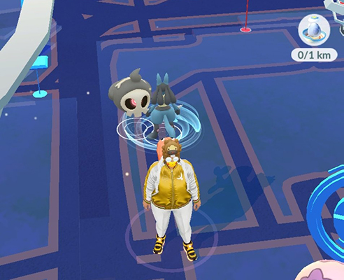 ポケモンgo 野生のルカリオ