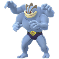 ポケモン カイリキー