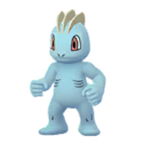 ポケモン ワンリキー