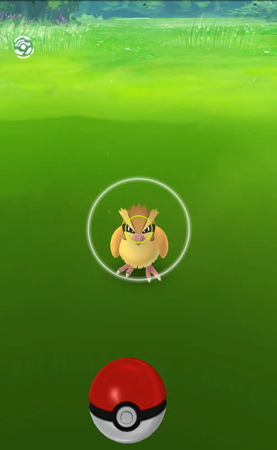 make an excellent throw