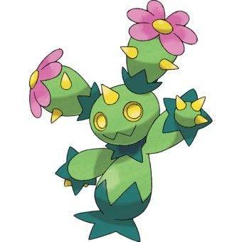 maractus
