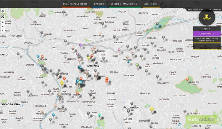 Como Funcionam as Migrações de Ninhos Pokémon GO