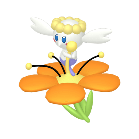 フラベベ(オレンジ)