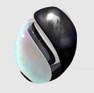 pedra unova pokemon go