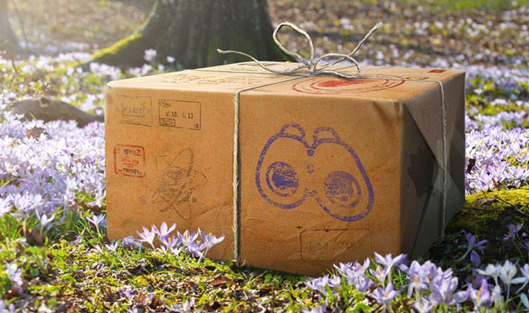 Pesquisas de Campo e Especiais