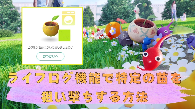 ピクミン ブルーム ライフログの苗