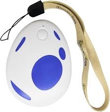 Pocket Eggというキャプチャー