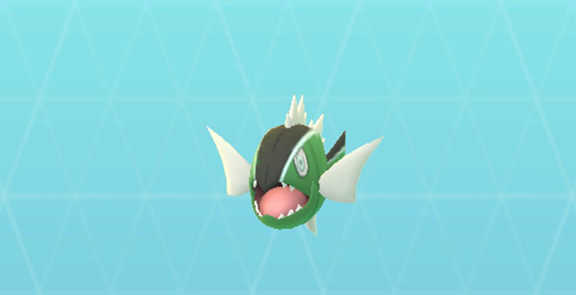 ポケモンgo バスラオ(しろすじ)