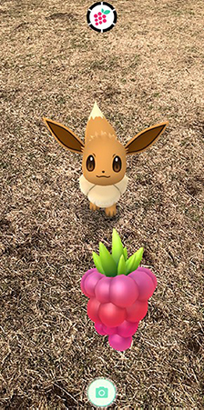 ポケモン go きのみ