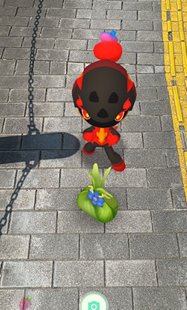 ポケモン go 相棒